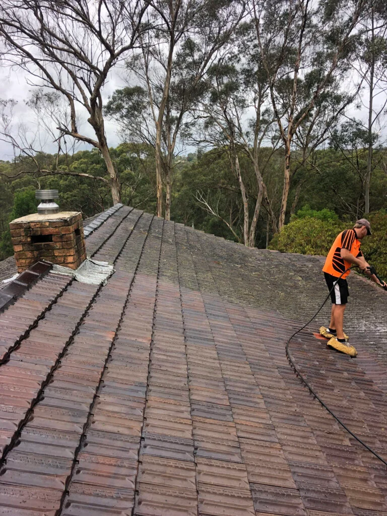 Roof Restoration Services